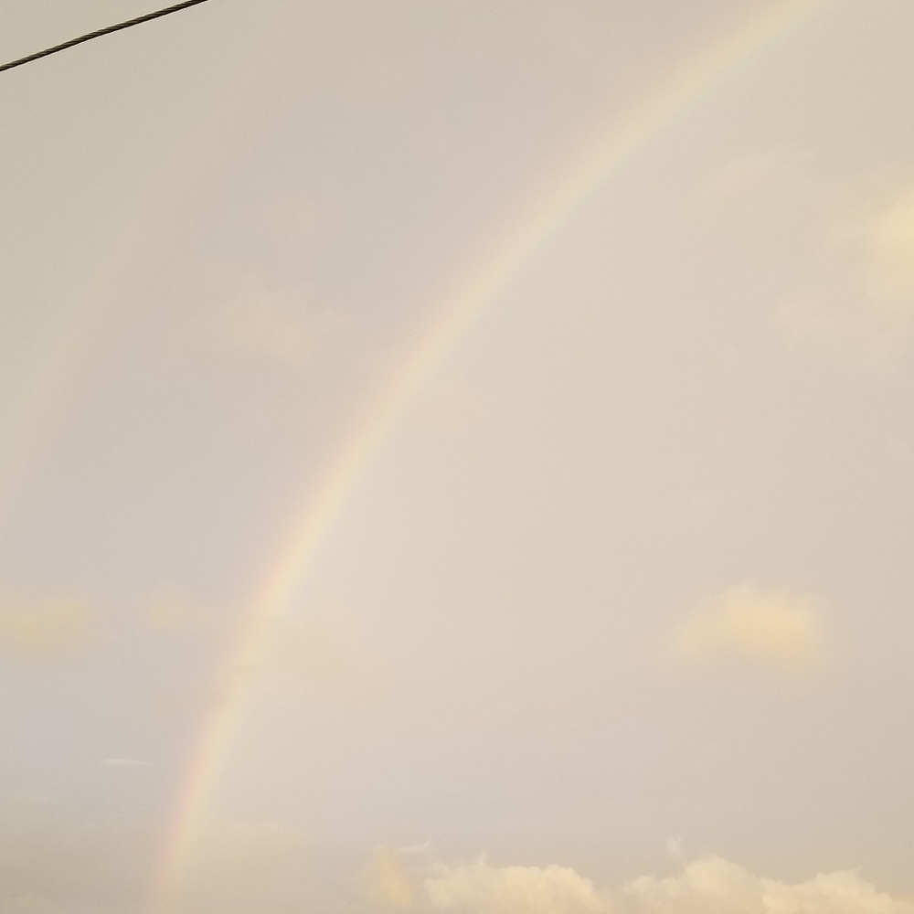 Meet your Posher, Terra